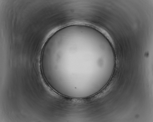 X0000100860954200806200835