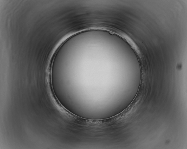 X0000100860955200806200835