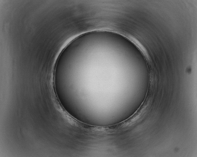 X0000100860956200806200835