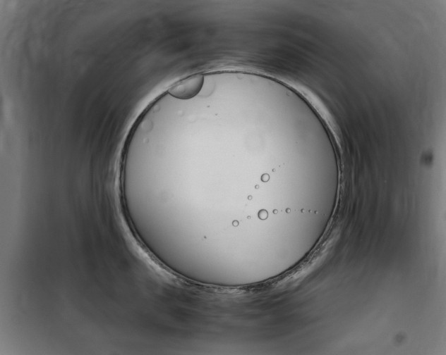 X0000100860957200806200835