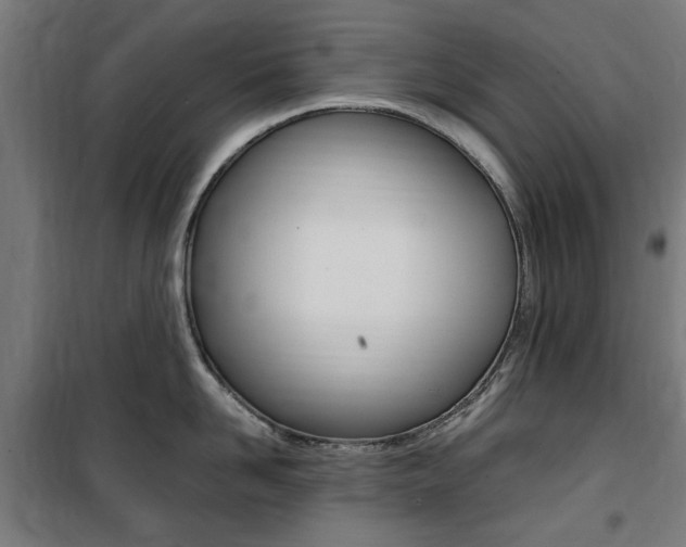 X0000100860958200806200835