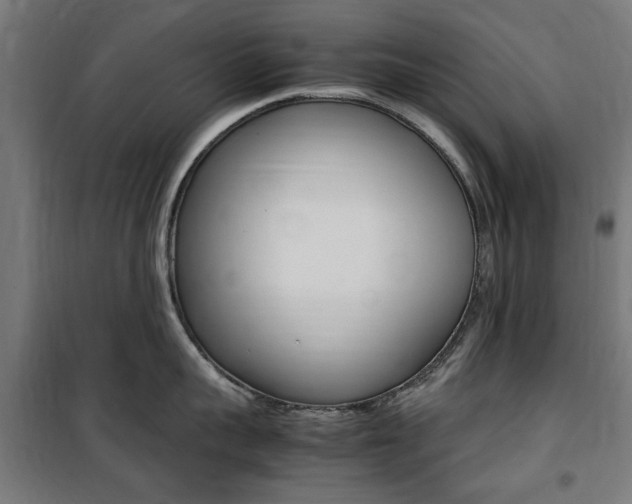 X0000100860959200806200835