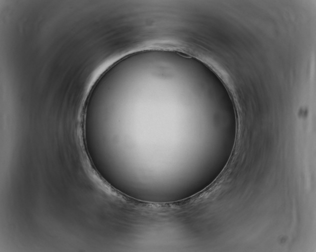 X0000100860960200806200835