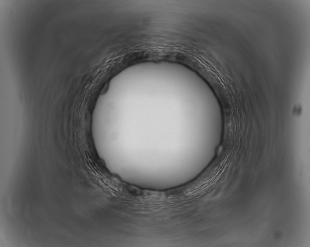 X0000100860961200806200834