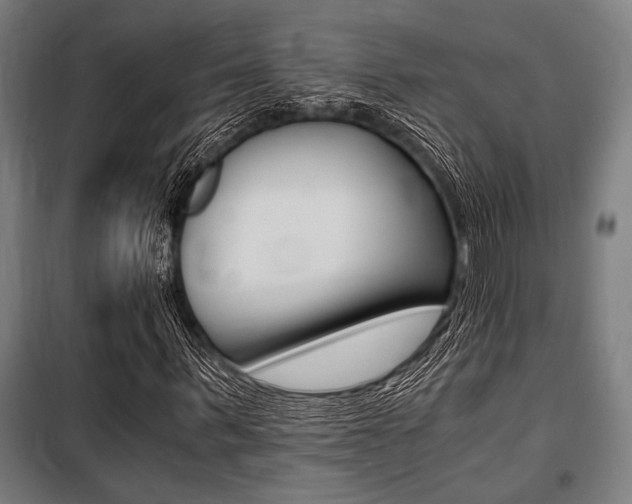X0000100860963200806200834