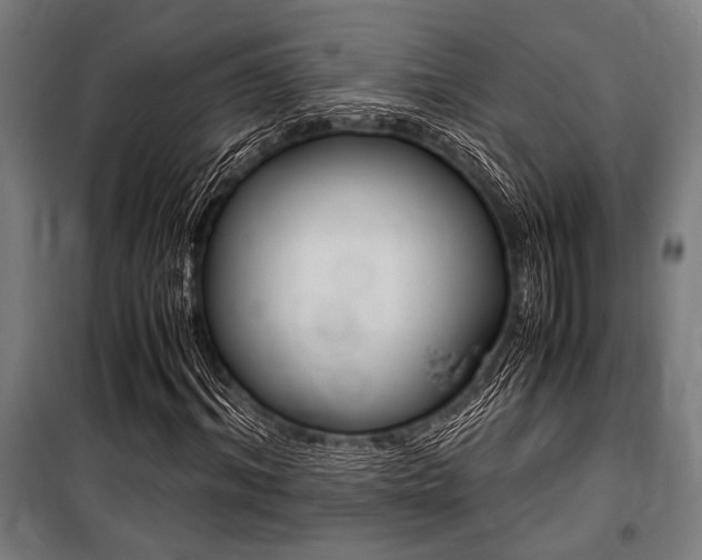 X0000100860964200806200834