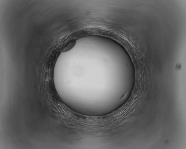 X0000100860965200806200834