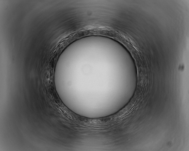 X0000100860966200806200834