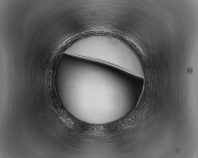 X0000100860968200806200834