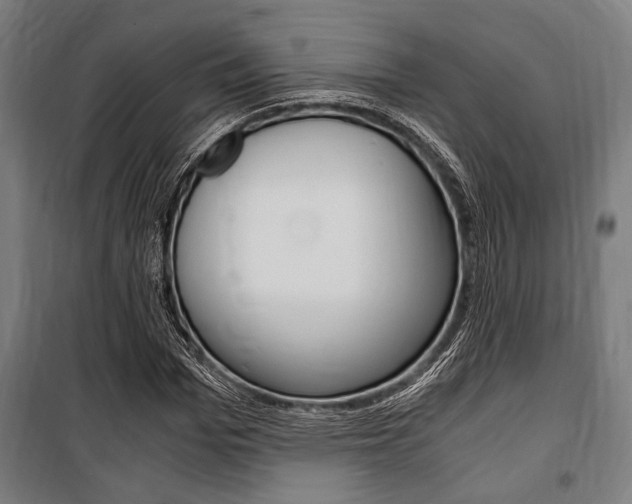 X0000100860969200806200834