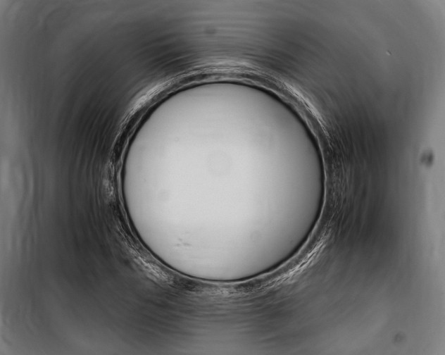 X0000100860970200806200834