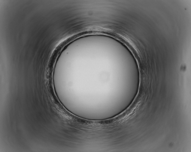 X0000100860971200806200834
