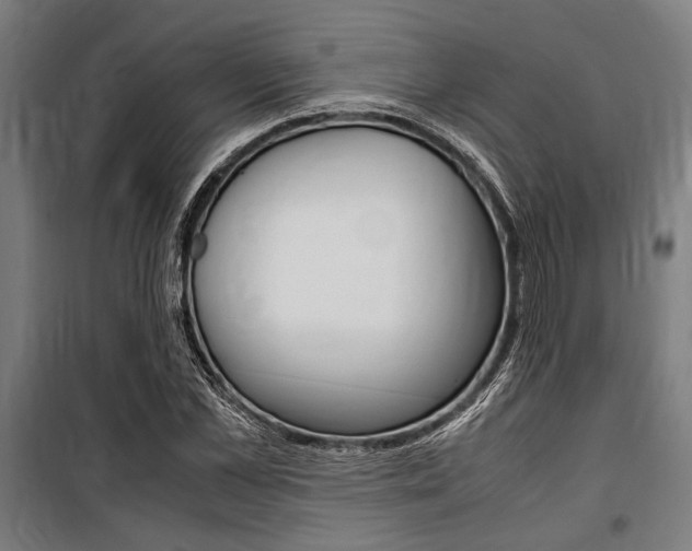 X0000100860973200806200834