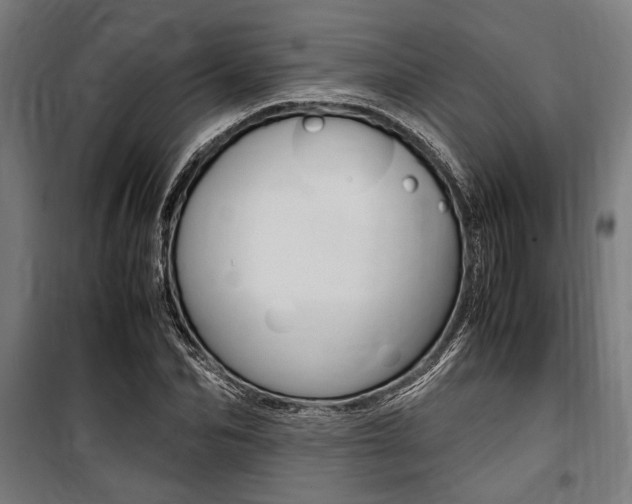 X0000100860974200806200834