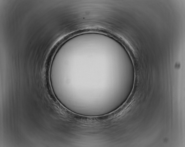 X0000100860975200806200834