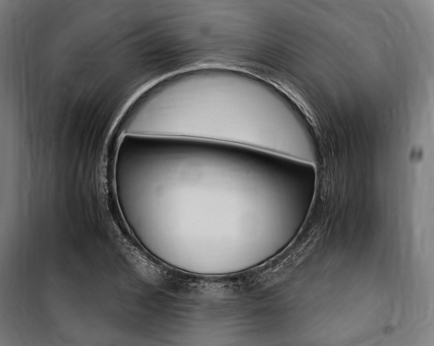 X0000100860976200806200834