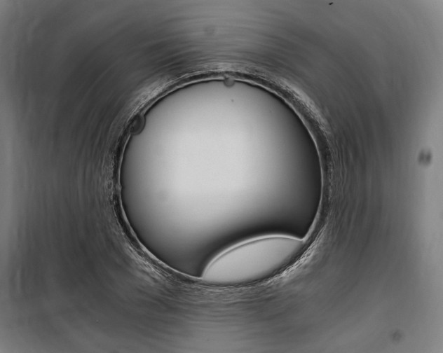 X0000100860977200806200834