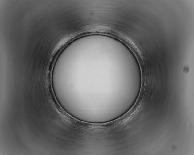 X0000100860978200806200834