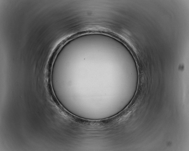 X0000100860979200806200834