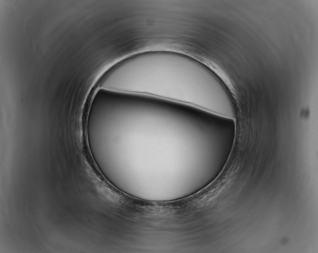 X0000100860980200806200834