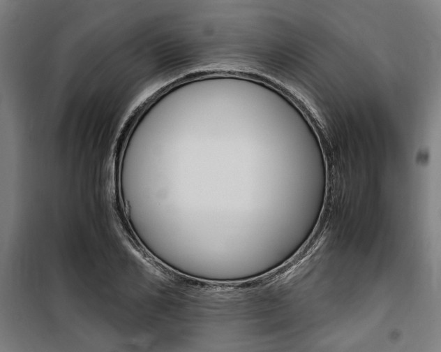 X0000100860982200806200834