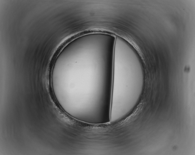 X0000100860984200806200834