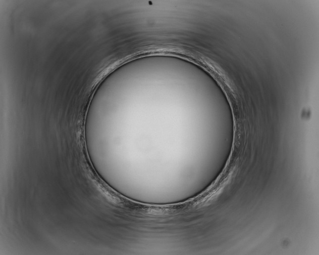 X0000100860985200806200834