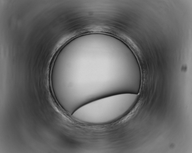 X0000100860986200806200834
