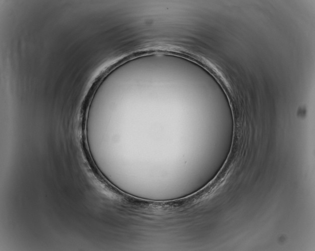X0000100860987200806200834