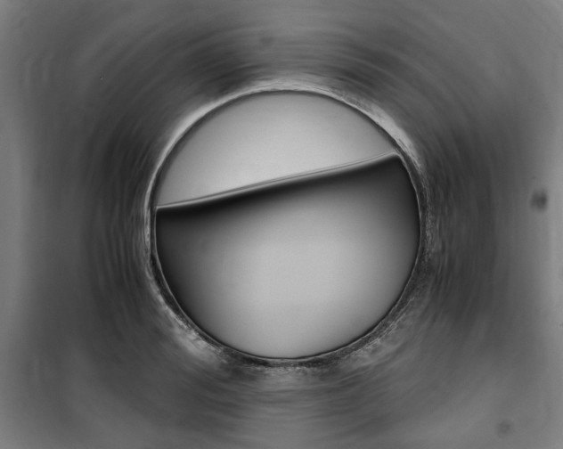 X0000100860988200806200834