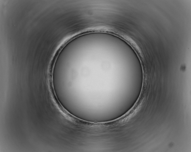 X0000100860989200806200834