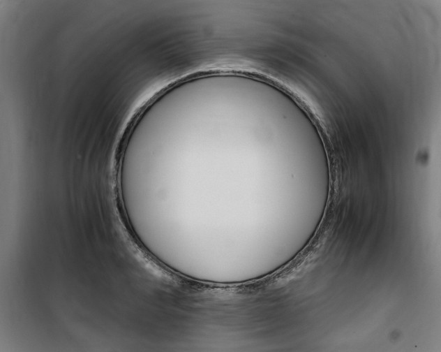 X0000100860990200806200834