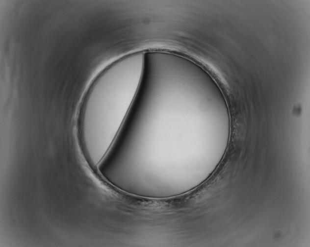 X0000100860991200806200834