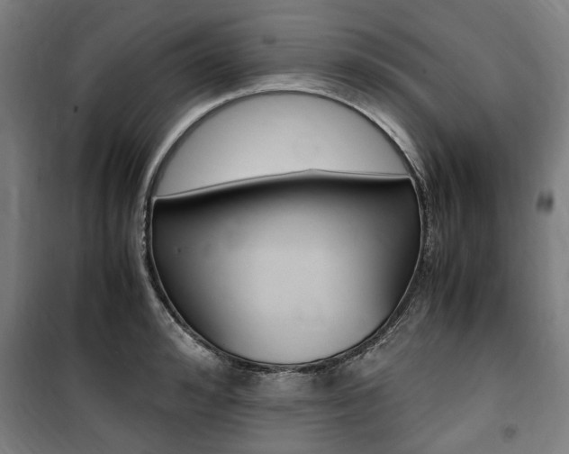 X0000100860992200806200834