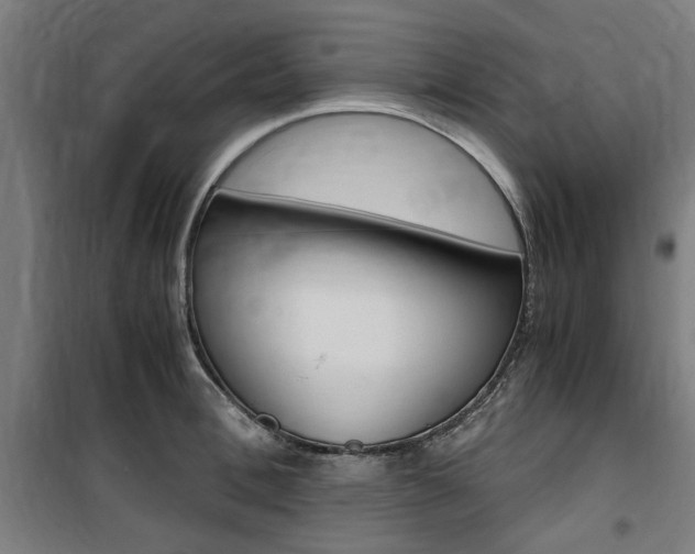 X0000100860996200806200834