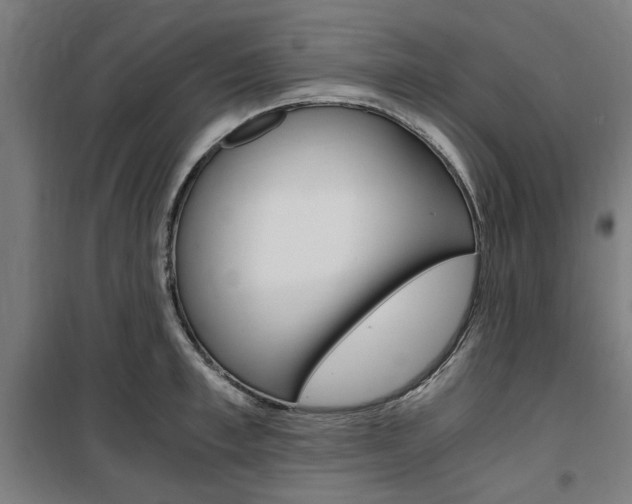 X0000100860997200806200834