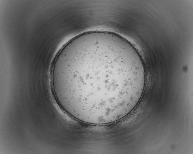 X0000100860998200806200834