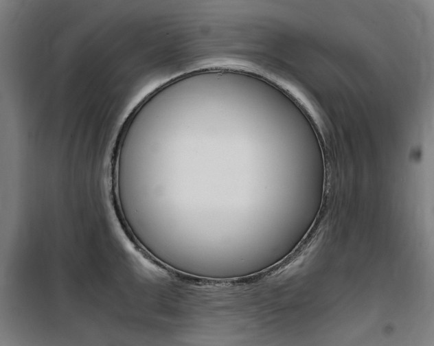X0000100860999200806200834