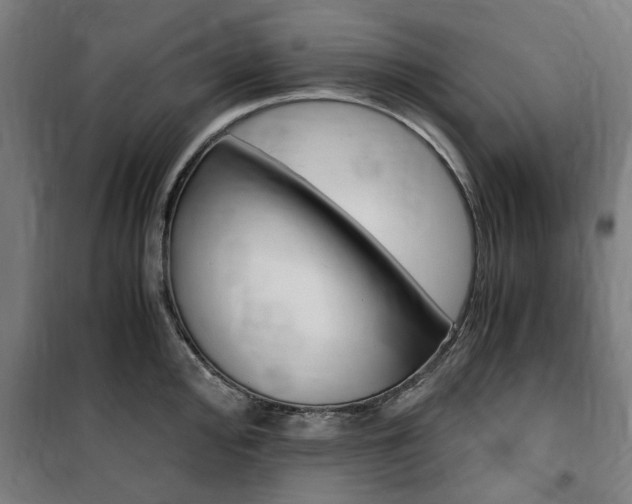 X0000100861000200806200834