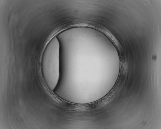 X0000100861002200806200834