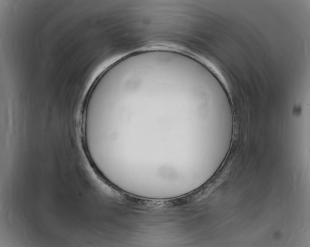 X0000100861003200806200834