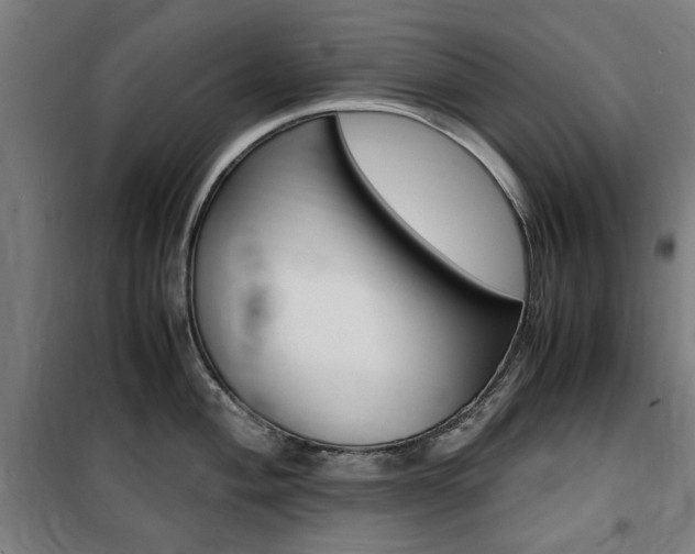 X0000100861004200806200833