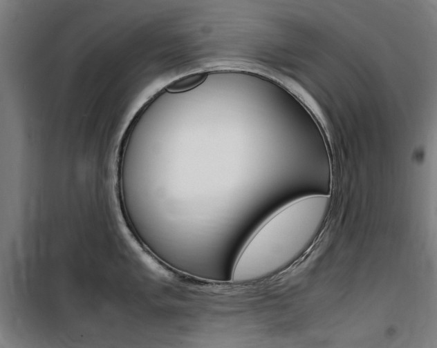 X0000100861005200806200833