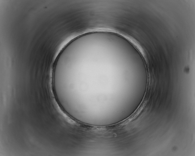 X0000100861006200806200833