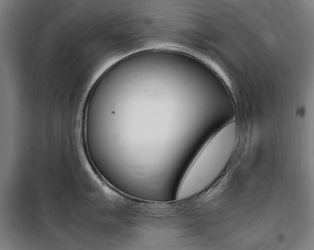 X0000100861007200806200833
