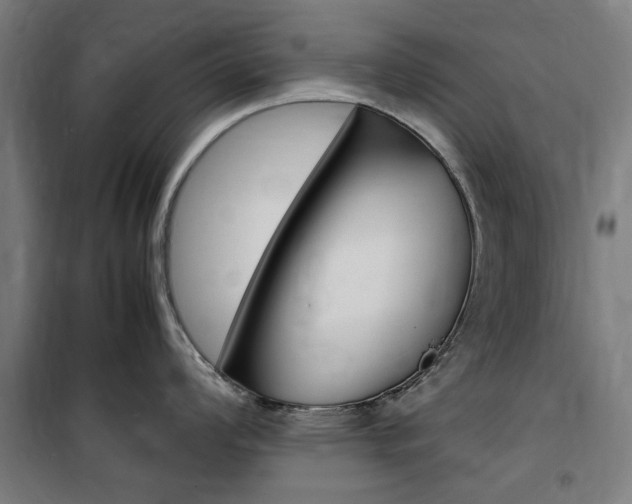 X0000100861008200806200833