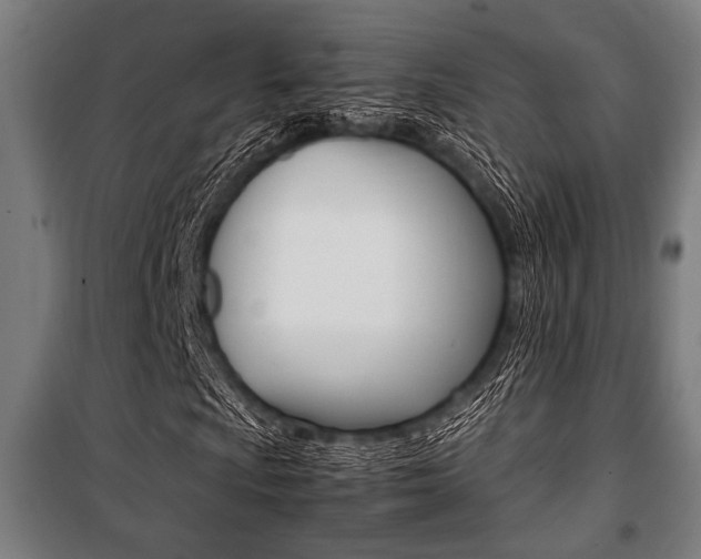 X0000100861009200806200832
