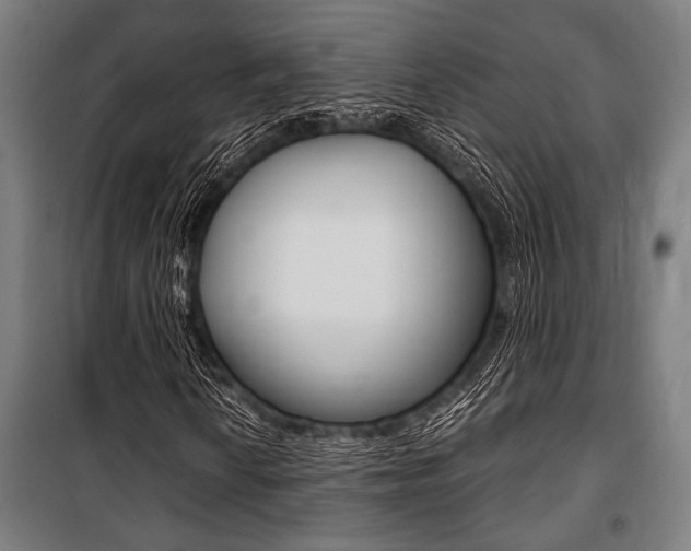 X0000100861010200806200832