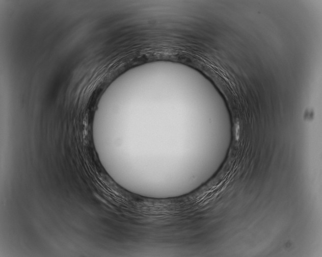 X0000100861011200806200832