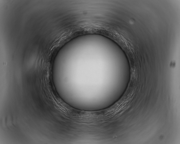 X0000100861012200806200832